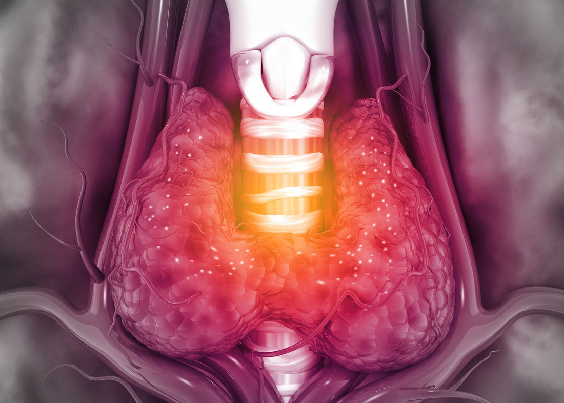 Is Thyroid Function Affecting Your Health?