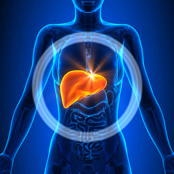 Eleven Signs of Poor Liver Function – Power of Nature