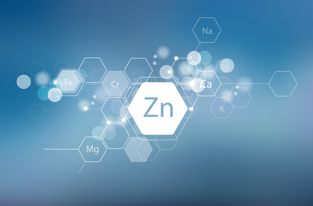 The Importance of Zinc for Good Health